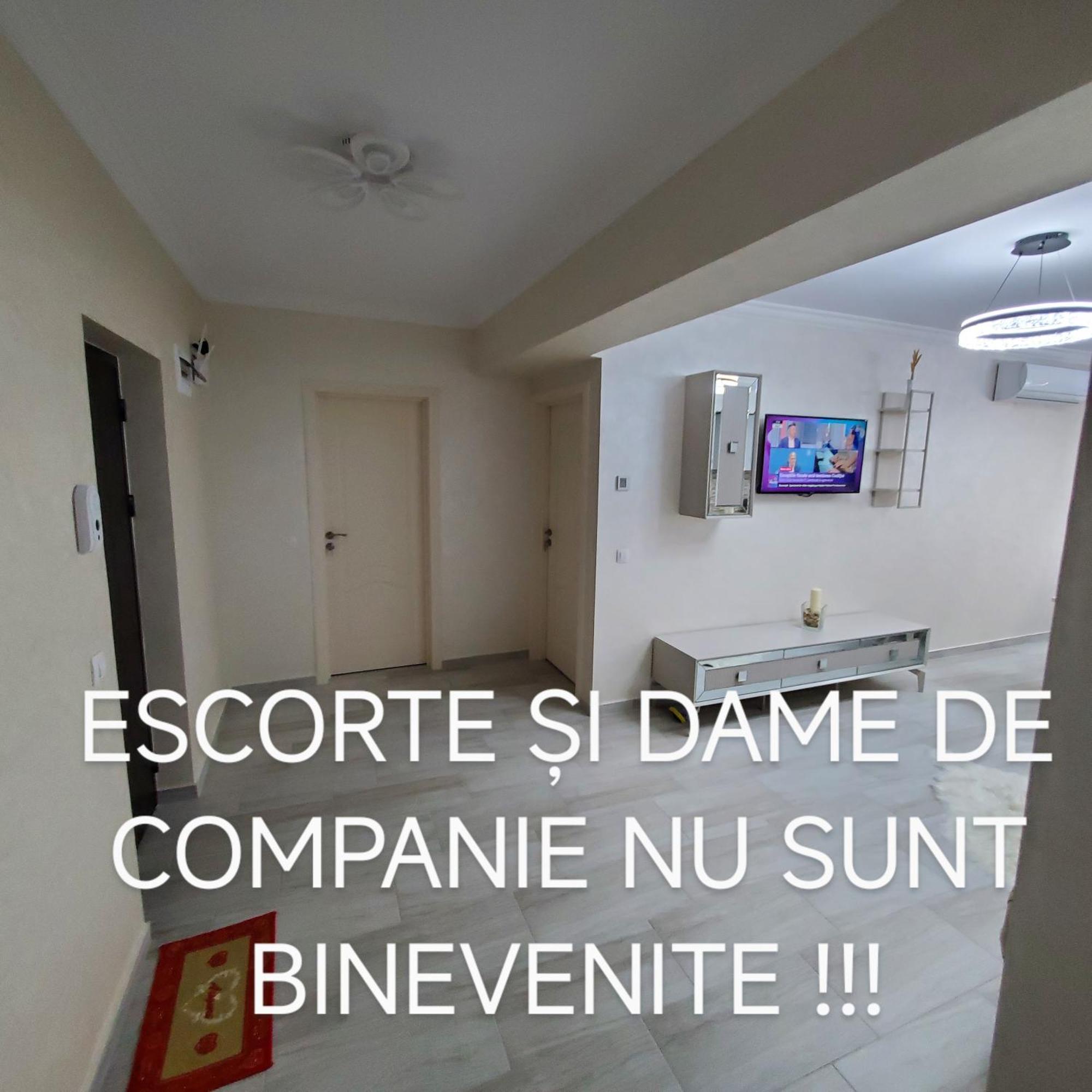 Luxury Apartament Bacovia Bacău Buitenkant foto